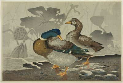 Un par de patos junto a un estanque de lotos de Kobayashi Kiyochika