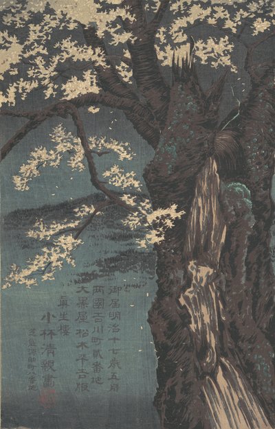 Cerezo de Kobayashi Kiyochika