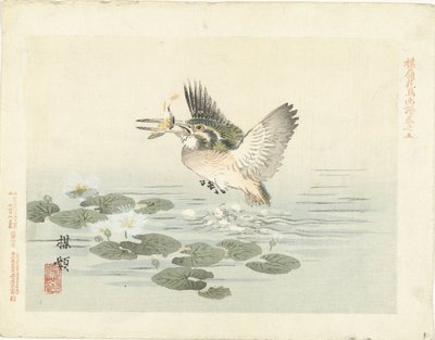 Martín pescador Bosquejos de flores y pájaros de Bairei (título de la serie) Barei kacho gafu (título de la serie sobre el objeto) de Kono Bairei