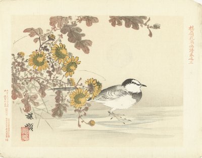 lavandera japonesa Bosquejos de flores y pájaros de Bairei (título de la serie) Barei kacho gafu (título de la serie sobre el objeto) de Kono Bairei