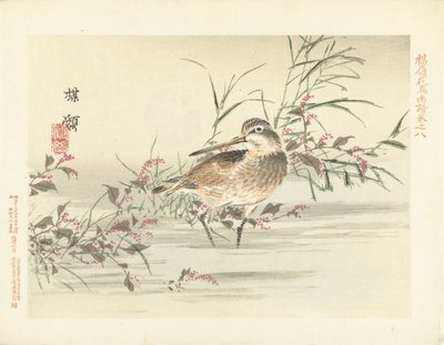 recorte Bosquejos de flores y pájaros de Bairei (título de la serie) Barei kacho gafu (título de la serie sobre el objeto) de Kono Bairei