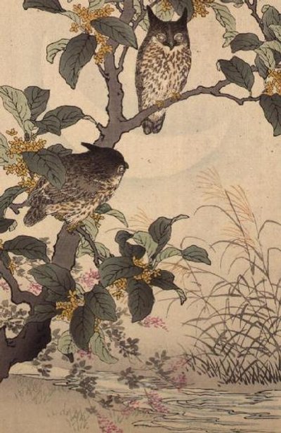Dos Búhos en un Árbol de Bunrei Kacho Gafu por Kono Bairei (1844-95), pub. 1885 de Kono Bairei