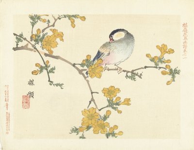Pájaro cantor en rama floreciente Bosquejos de flores y pájaros de Bairei (título de la serie) Barei kacho gafu (título de la serie sobre el objeto) de Kono Bairei