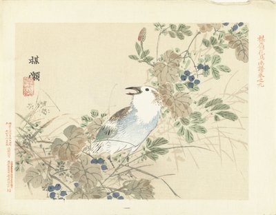 Pájaro cantor entre pastos de otoño Bosquejos de flores y pájaros de Bairei (título de la serie) Barei kacho gafu (título de la serie sobre el objeto) de Kono Bairei