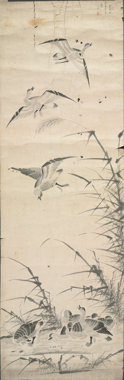 Gansos salvajes y juncos de Korea, Joseon dynasty