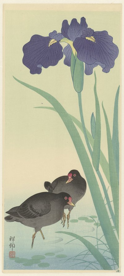 Gallinas de mar y lirios (xilografía en color) de Ohara Koson