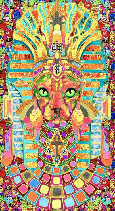 El vibrante gato faraón de Kostyantin Malginov