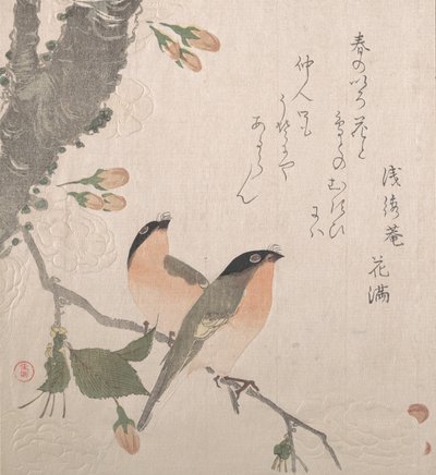 Camachuelos y Flores de Cerezo de Kubo Shunman
