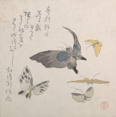 Mariposas, siglo XIX de Kubo Shunman
