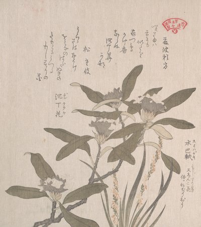 Daphne odora y Mojisuri-so, siglo XIX de Kubo Shunman