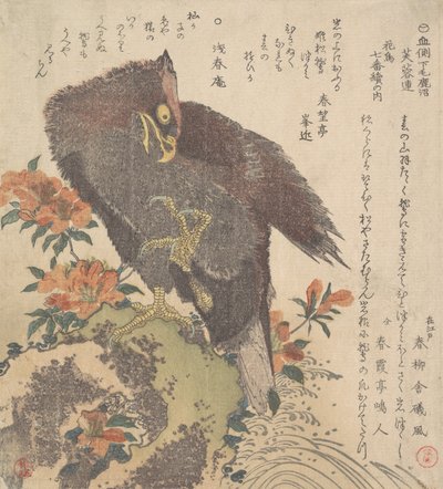 Águila en una roca, azaleas en flor, ca. 1800 de Kubo Shunman