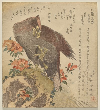 Águila con una garra levantada sobre una roca junto a un arbusto de azalea de Kubo Shunman