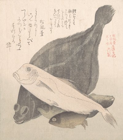 Platija y otros peces, siglo XIX de Kubo Shunman