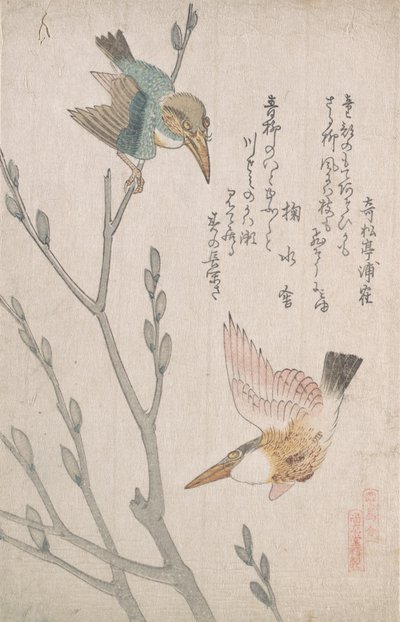 Martines y sauce de gato, siglo XIX de Kubo Shunman