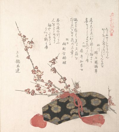 Buzón y Flores de Ciruelo, siglo XIX de Kubo Shunman