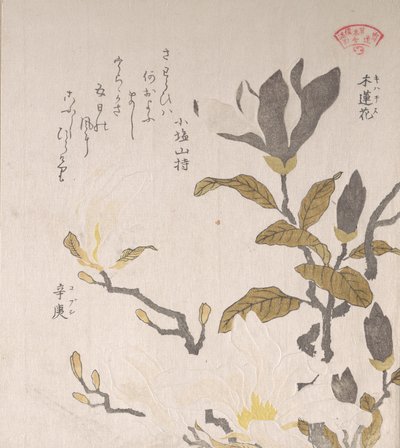 Flores de magnolia, siglo XIX de Kubo Shunman