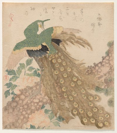 De Tres Piezas [Pavo Real] (Mi hira no uchi) de Kubo Shunman