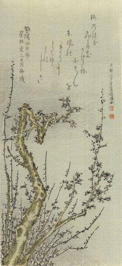 Viejo ciruelo, 1796 de Kubo Shunman