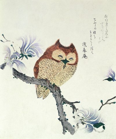 Búho en una rama de magnolia (tinta y color sobre papel) de Kubo Shunman