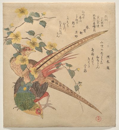 Par de faisanes chinos y una rama de flores yamabuki de Kubo Shunman