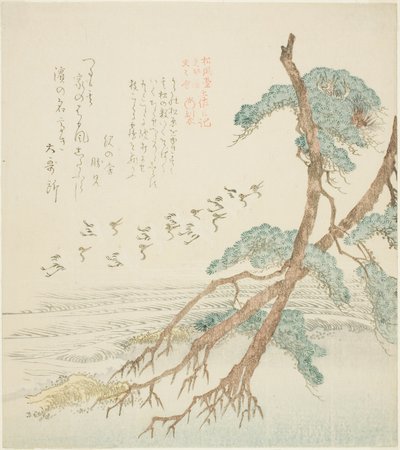 Pinos, de la serie "Diario de Tosa para el Shofudai, Hisakataya, y Bunbunsha (Shofudai Hisakataya Bunbunsha Tosa nikki)" de Kubo Shunman