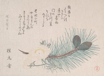 Pinos y flores de cerezo, probablemente 1814 de Kubo Shunman