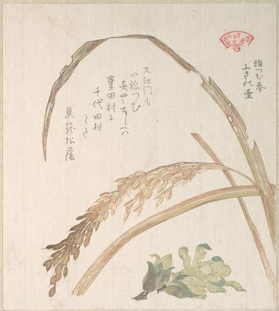  de Kubo Shunman
