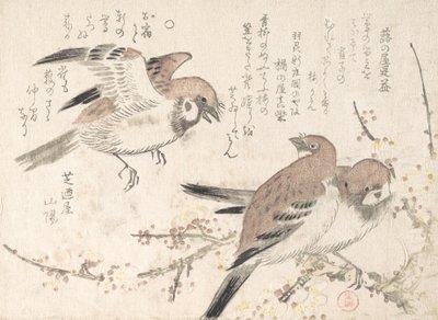 Gorriones y Flores de Ciruelo de Kubo Shunman