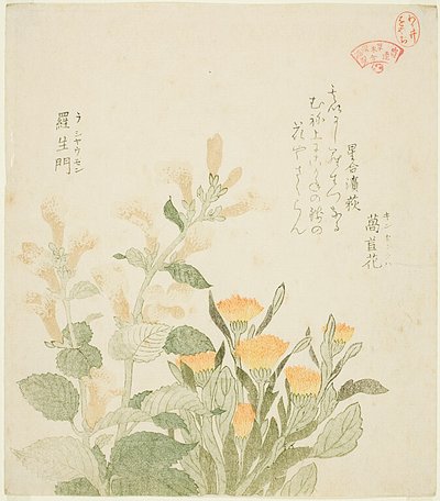 La caléndula común y las flores de Rajoman de Kubo Shunman