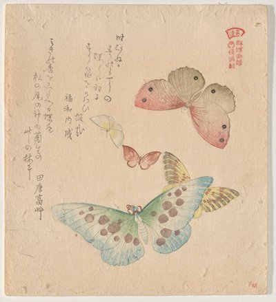 El manual de pintura de bandada de mariposas (Guncho? Gafu) de Kubo Shunman