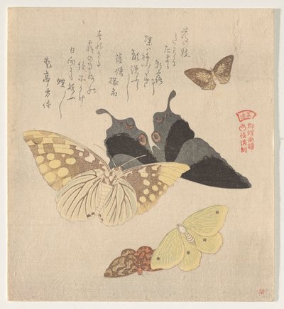 El manual de pintura de bandada de mariposas (Guncho? Gafu) de Kubo Shunman