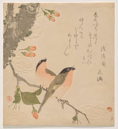 Dos camachuelos en un cerezo de doble pétalo (Uso ni Yae-zakura) de Kubo Shunman