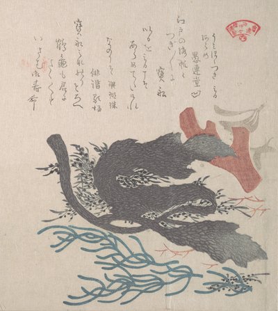 Algas varias, siglo XIX de Kubo Shunman