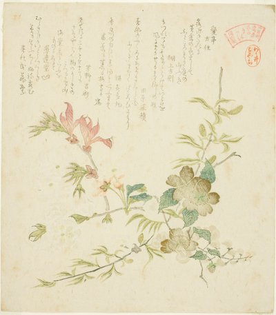 Varias flores de primavera, de la serie "Plantas y árboles de primavera para el círculo de poesía Kasumi del grupo Yomo" de Kubo Shunman