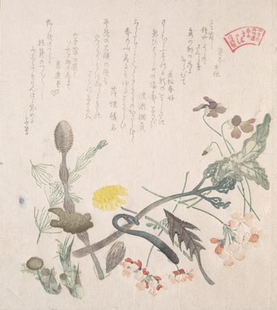Violetas, Primaveras y Otras Flores de Primavera, siglo XIX de Kubo Shunman