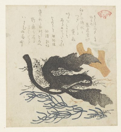 algas de Kubota Shunman