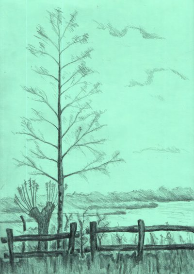  de Kulik