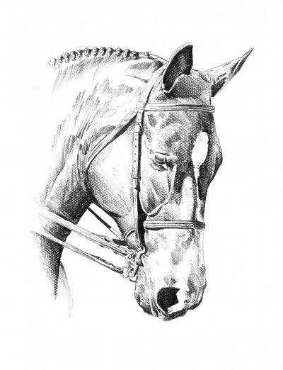  de Kulik
