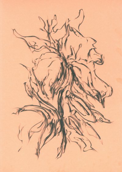  de Kulik