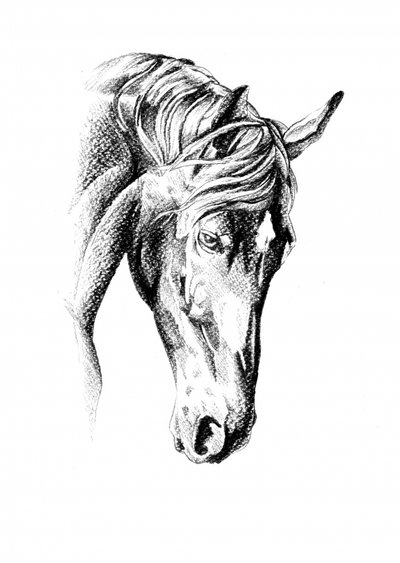  de Kulik
