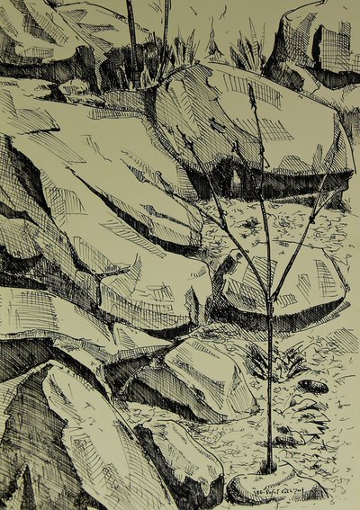  de Kulik
