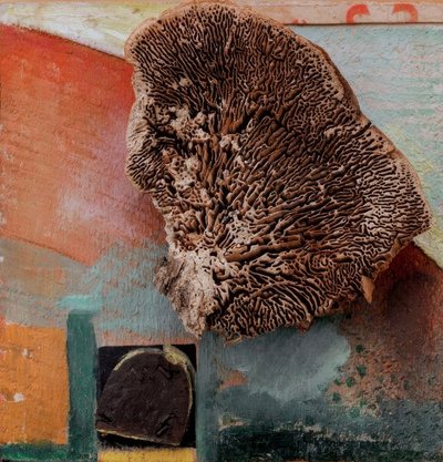 Sin título (Merzbild con coral) de Kurt Schwitters