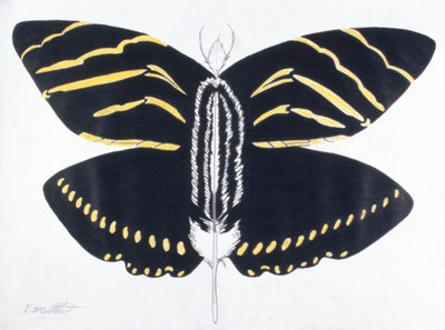 Mariposa emplumada, 2004 (lápiz de color sobre papel) de Kurtis L. Miller