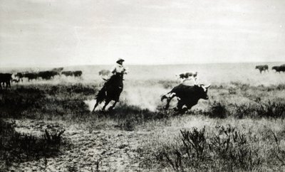 Vaquero a caballo lazando un ternero de L.A. Huffman