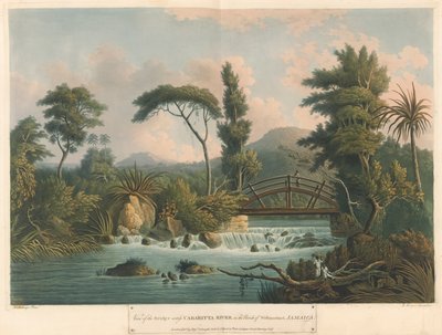 El río Cabaritta, de Six Views in the Island of Jamaica, litografía de I. Merigot de L. (after) Belanger