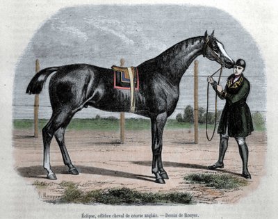 El caballo de carreras inglés Eclipse. Ilustración de Rouyer de L. (after) Rouyer