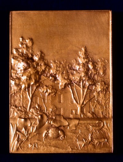 Insectos, 1911 de L. Patriarche