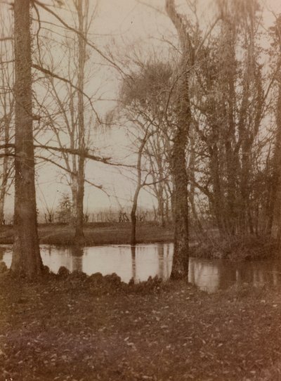 Álbum de la Primera Guerra Mundial en Friuli-Venecia Julia: el estanque en el parque de Villa Brazza, Hospital de guerra n. 17, Soleschiano Manzano de L. Verdiani