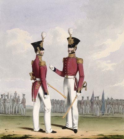 Oficiales de Campo de los Royal Marines, lámina 2 de 
