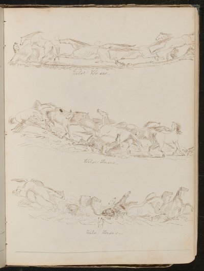 Tres estudios de caballos galopando libremente de Lady Butler